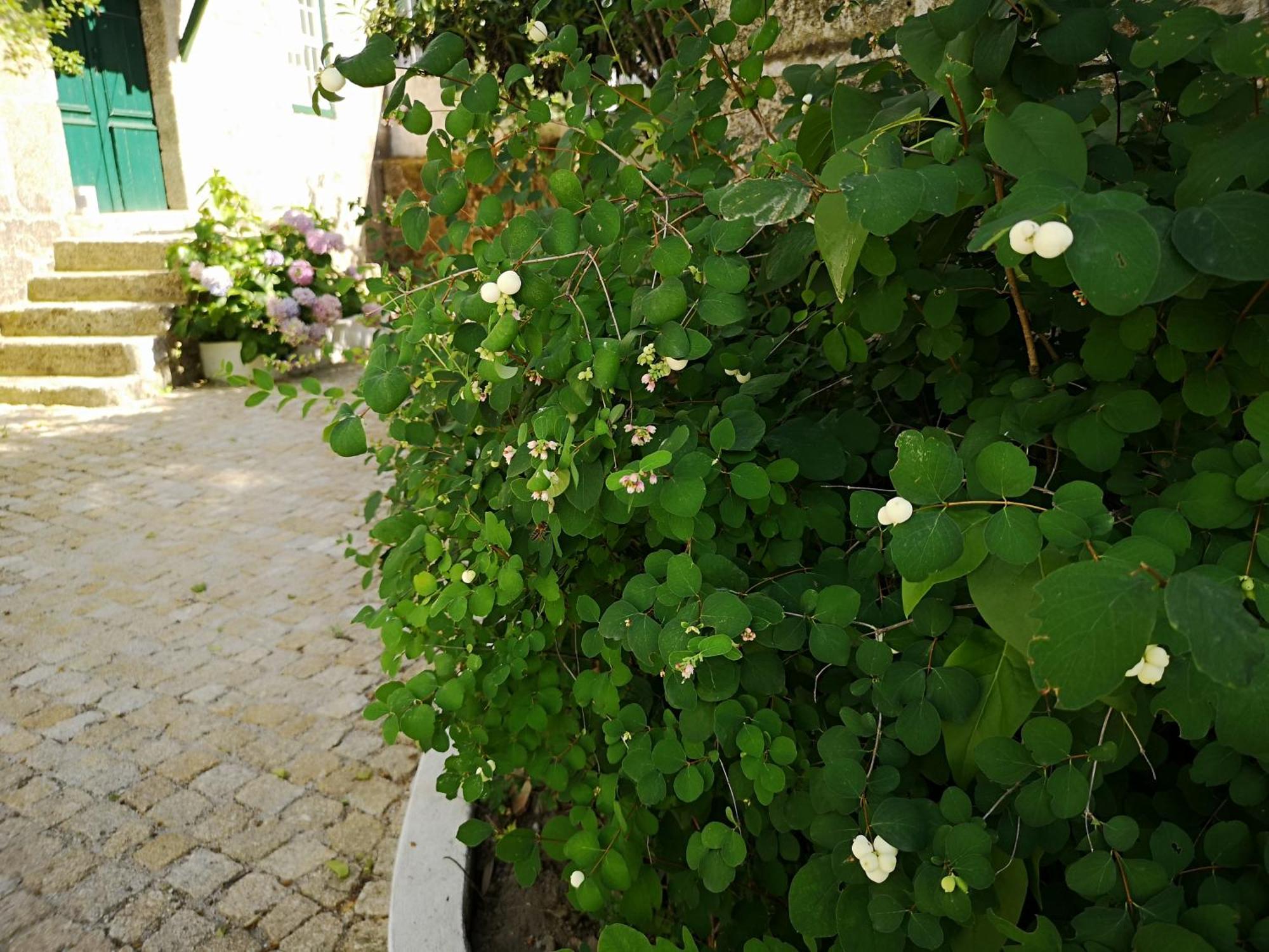 Refugio De Calheiros Villa Covilha Bagian luar foto