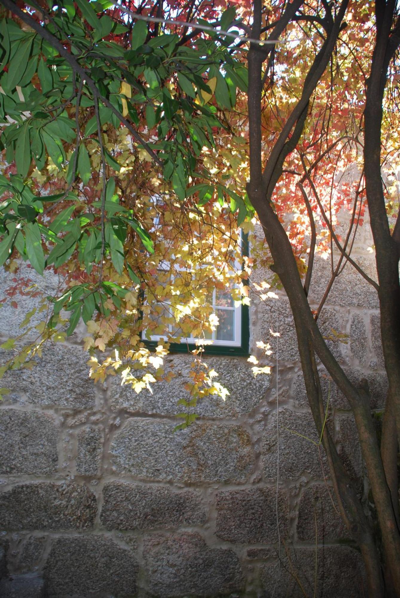 Refugio De Calheiros Villa Covilha Bagian luar foto